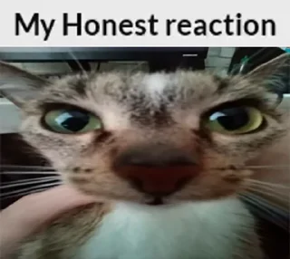 Sticker Больше стиков тут: @stikiin - 6