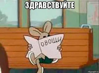 Sticker Больше стиков тут: @stikiin - 0