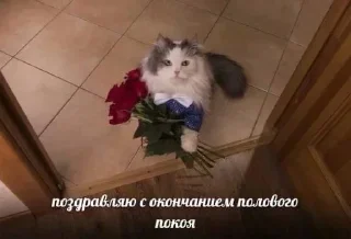 Стикер Больше стикеров 👉🏻 @stickertg4 - 4