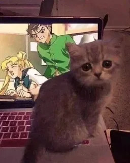 Стикер Больше стикеров 👉🏻 @stickertg4 - 3