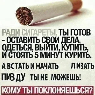 Sticker Больше стиков тут: @stikery4 - 3