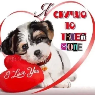 Sticker Больше стиков тут: @stikery4 - 10