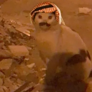 Стикер @X_C_B | 👋^•^ . - 9