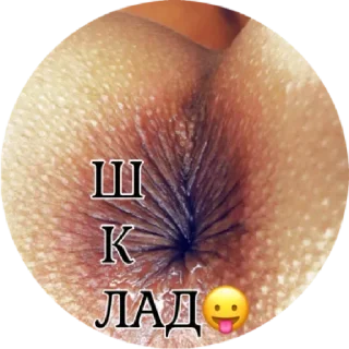 Sticker Фразы by @pisyatayni by @stqrapp - 11