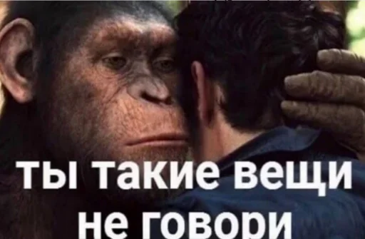 СМС примат млекопитающее