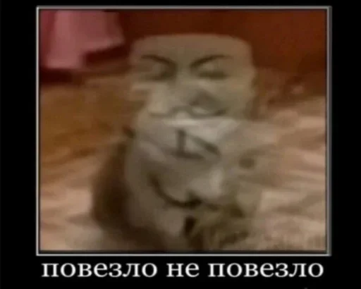 СМС скриншот животное