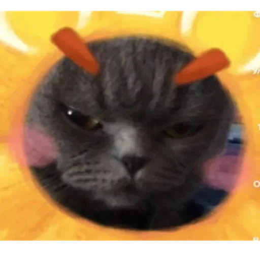 чік by @stqrapp - 