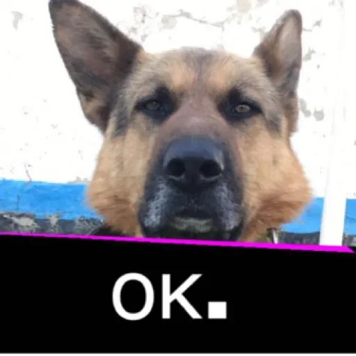 Стикер xauNpeOHmPQH_by_stqr_bot - 1