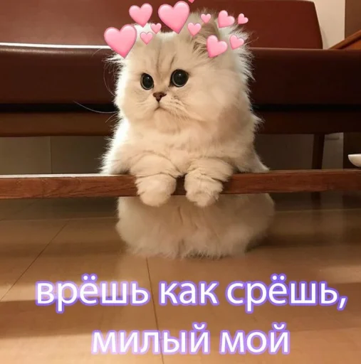 хех - 