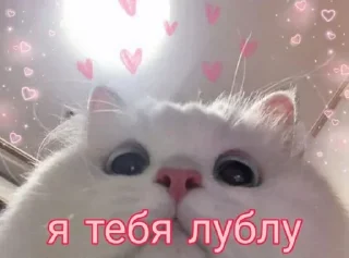 Стикер хех - 9