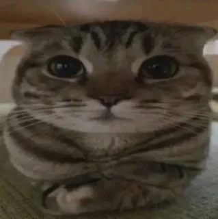 Sticker ))) by @Lem1god - 9