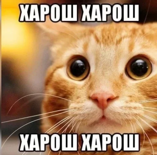 Больше стикеров: @sticerru - 