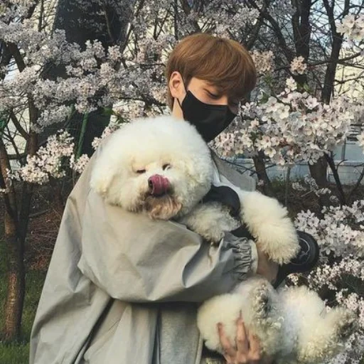 Sticker ⊹. ˟‌ 𝕏𝕕𝕚𝕟𝕒𝕣𝕪 ℍ𝕖𝕣𝕠𝕖𝕤 𖤐𐨿    @stikerkiyaoi - 9