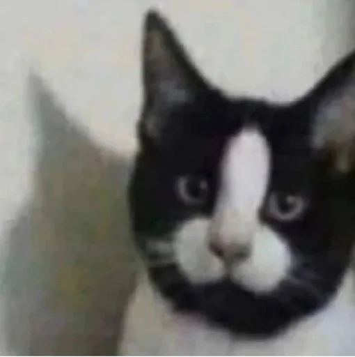 Sticker Стикеры @stickrubot @textmeru_bot - 0