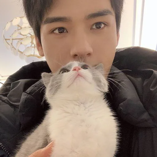 Стикер xiao1bo - 11