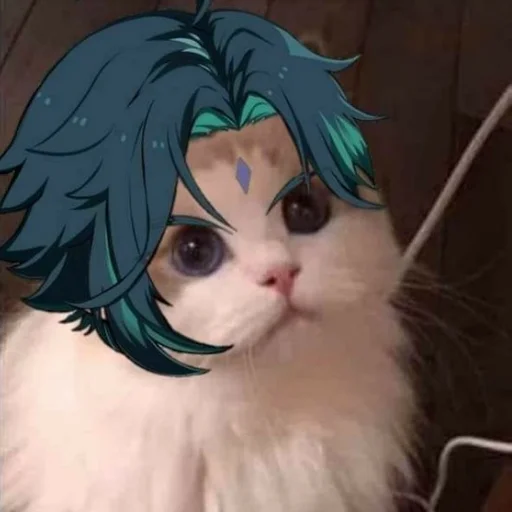 mammal animal cartoon