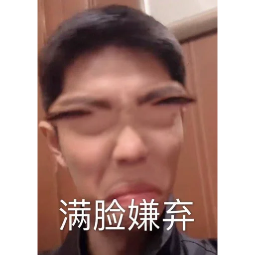 肖战 - Bern - человеческое лицо