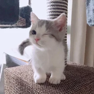 Sticker xiiwel '2 - 2