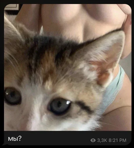 xiiwel '3 @brokendayagain - 