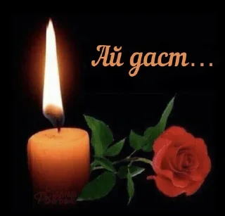 Sticker LYSTÆGDZÆBUG - 7