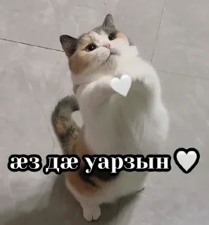 Sticker LYSTÆGDZÆBUG - 9