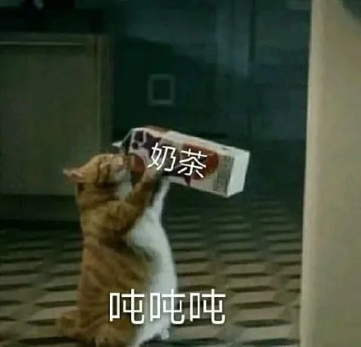 Sticker xiongmaotou_by_WuMingv2Bot - 1