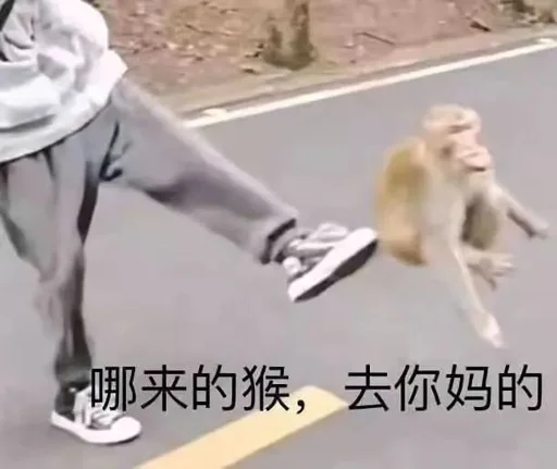 Sticker xiongmaotou_by_WuMingv2Bot - 1