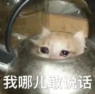 Sticker 无敌熊猫头~ @biaoqingbao01 - 4