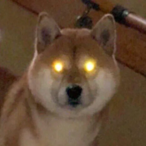 Sticker xlebsasha - 1