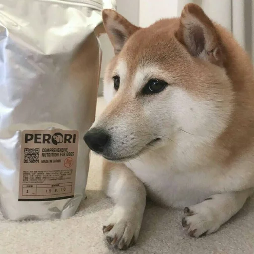 Sticker xlebsasha - 1