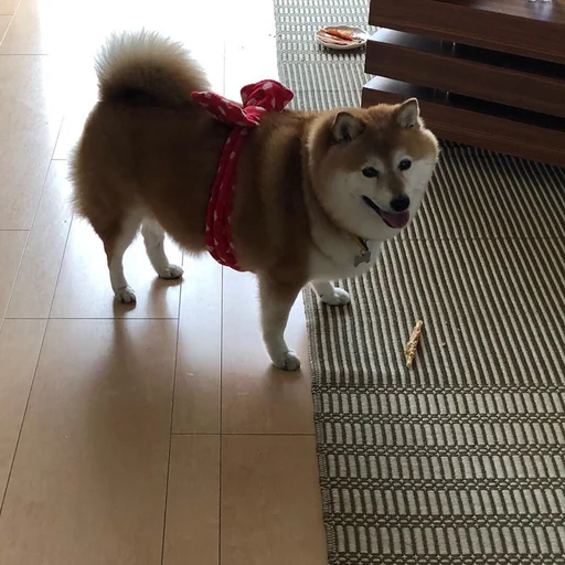 Sticker xlebsasha - 1