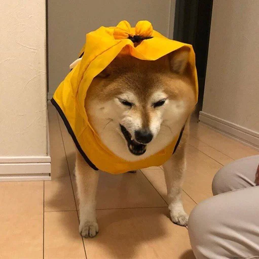 Sticker xlebsasha - 1