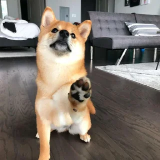 Sticker Хлебная тема - 1