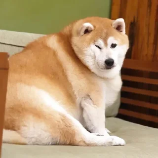 Sticker Хлебная тема - 3