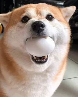 Sticker Хлебная тема - 10