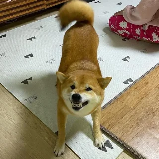 Sticker Хлебная тема - 4