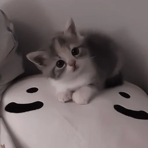 Стикер xmIMeXqmPZ_by_WmojiBot - 1