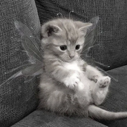 Sticker xmIMeXqmPZ_by_WmojiBot - 1