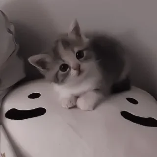 Sticker Стикеры тут 👉 @Femoji - 8