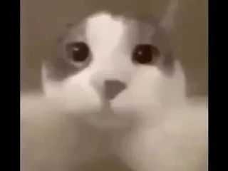 Sticker Стикеры тут 👉 @Femoji - 1