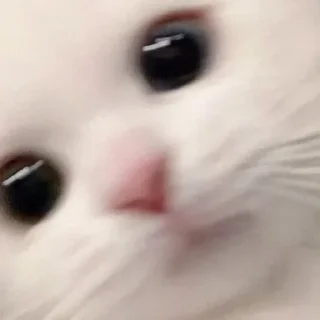 Sticker Стикеры тут 👉 @Femoji - 4