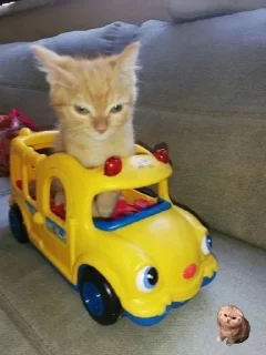 Sticker Стикеры тут 👉 @Femoji - 9