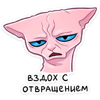 Стикер @stickers_teleg_telegramstickeri - 6