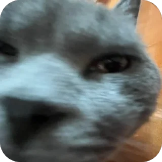 Sticker xnzmlsКакСмыслЖизни2 - 0