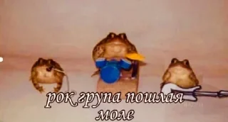 Sticker Больше стикеров: @sticerru - 2