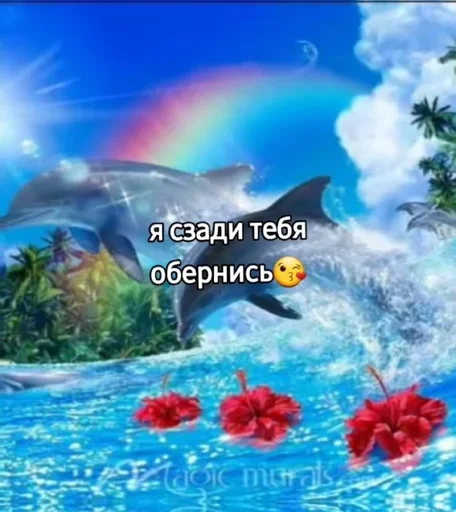 Стикер xoliTDS_by_achestickbot - 1