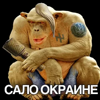 Sticker @xoxol_stk гей перемога - 2