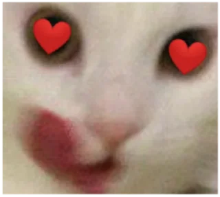 Sticker @xoxosteysh - 2