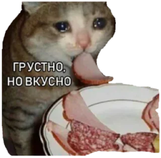 Sticker @xoxosteysh - 10