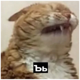 Sticker @xoxosteysh - 5